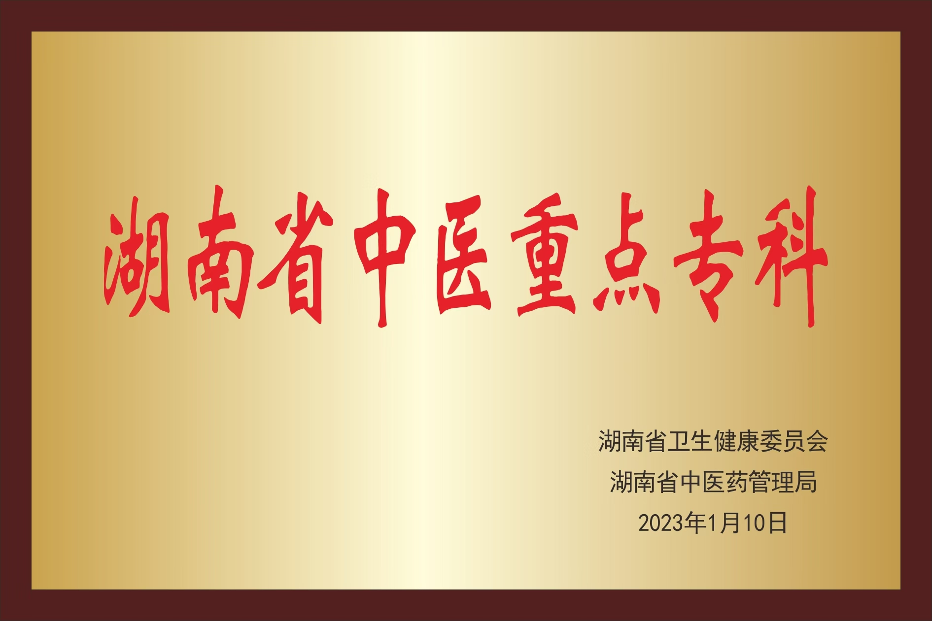 湖南省中医重点专科 湖南省中医重点专科