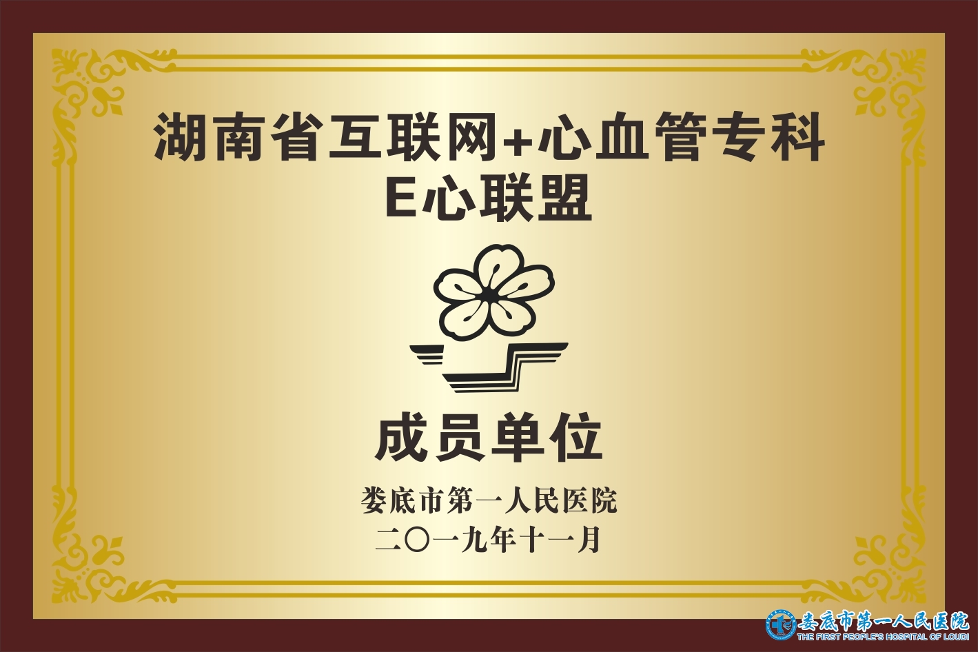 湖南省互联网+心血管专科E心联盟(成员单位) 湖南省互联网+心血管专科E心联盟(成员单位)
