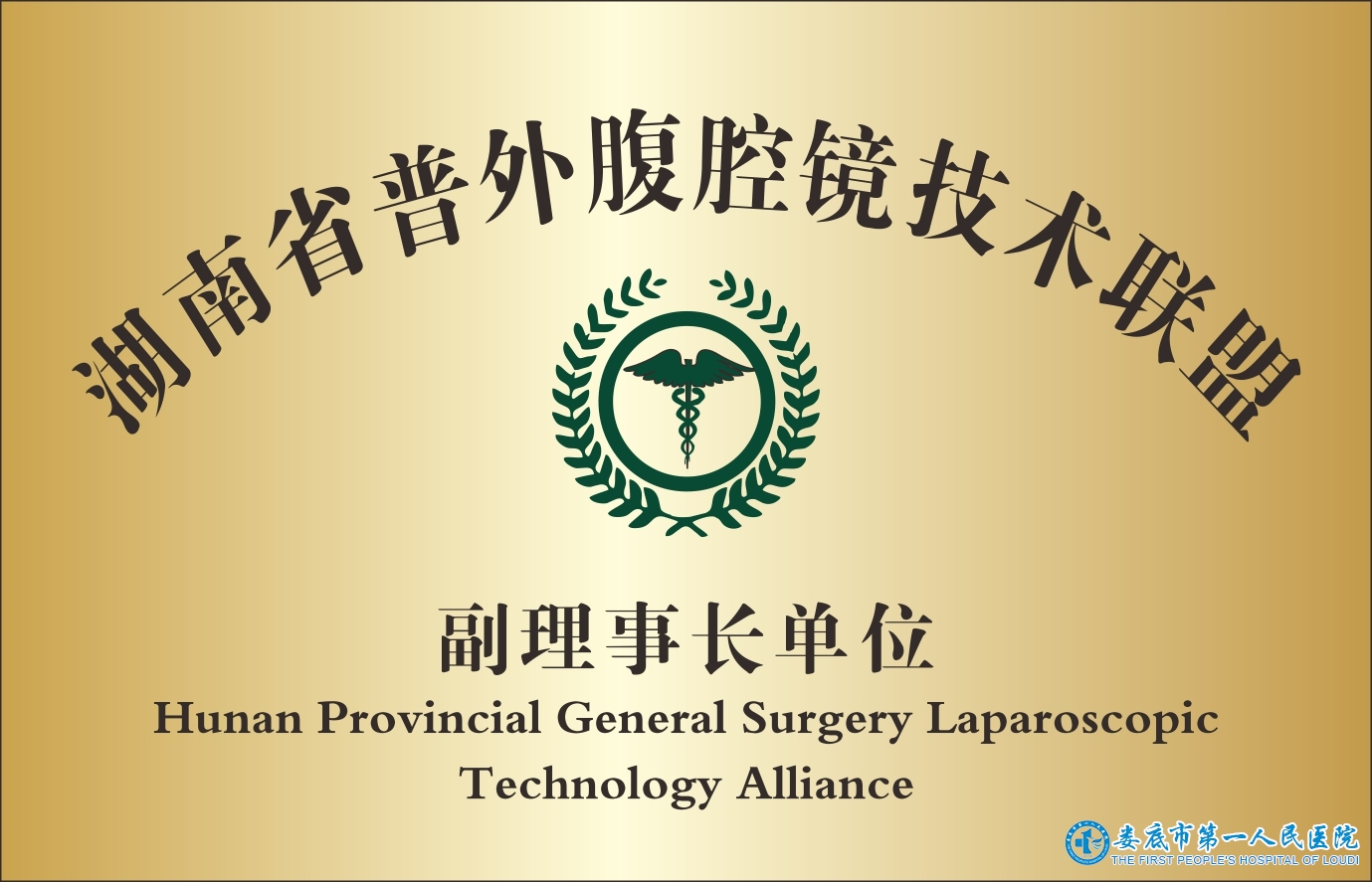 湖南省普外腹腔镜技术联盟(副理事长单位 ) 湖南省普外腹腔镜技术联盟(副理事长单位 )