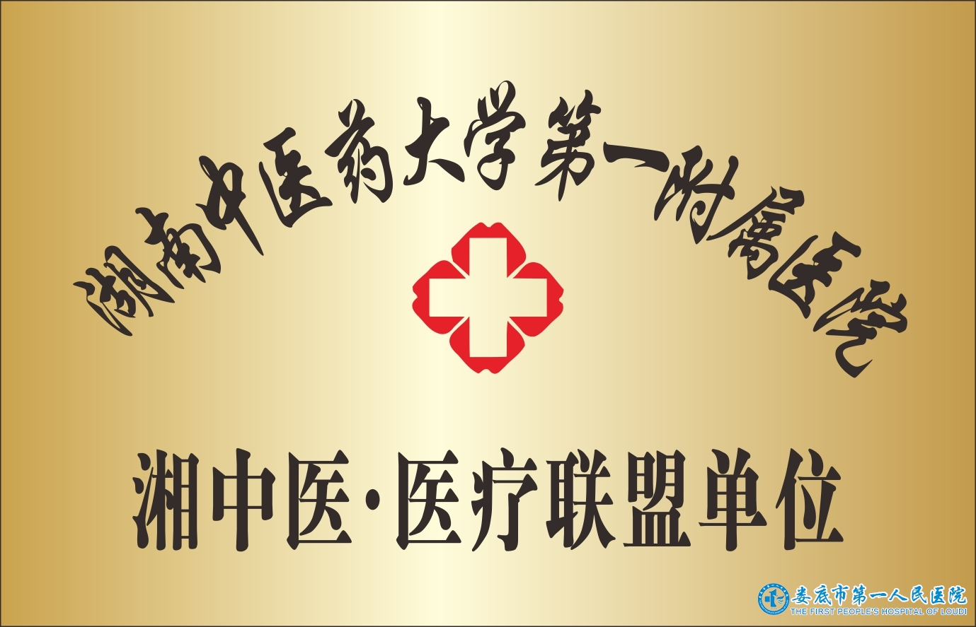 湘中医·医疗联盟单位 湘中医·医疗联盟单位