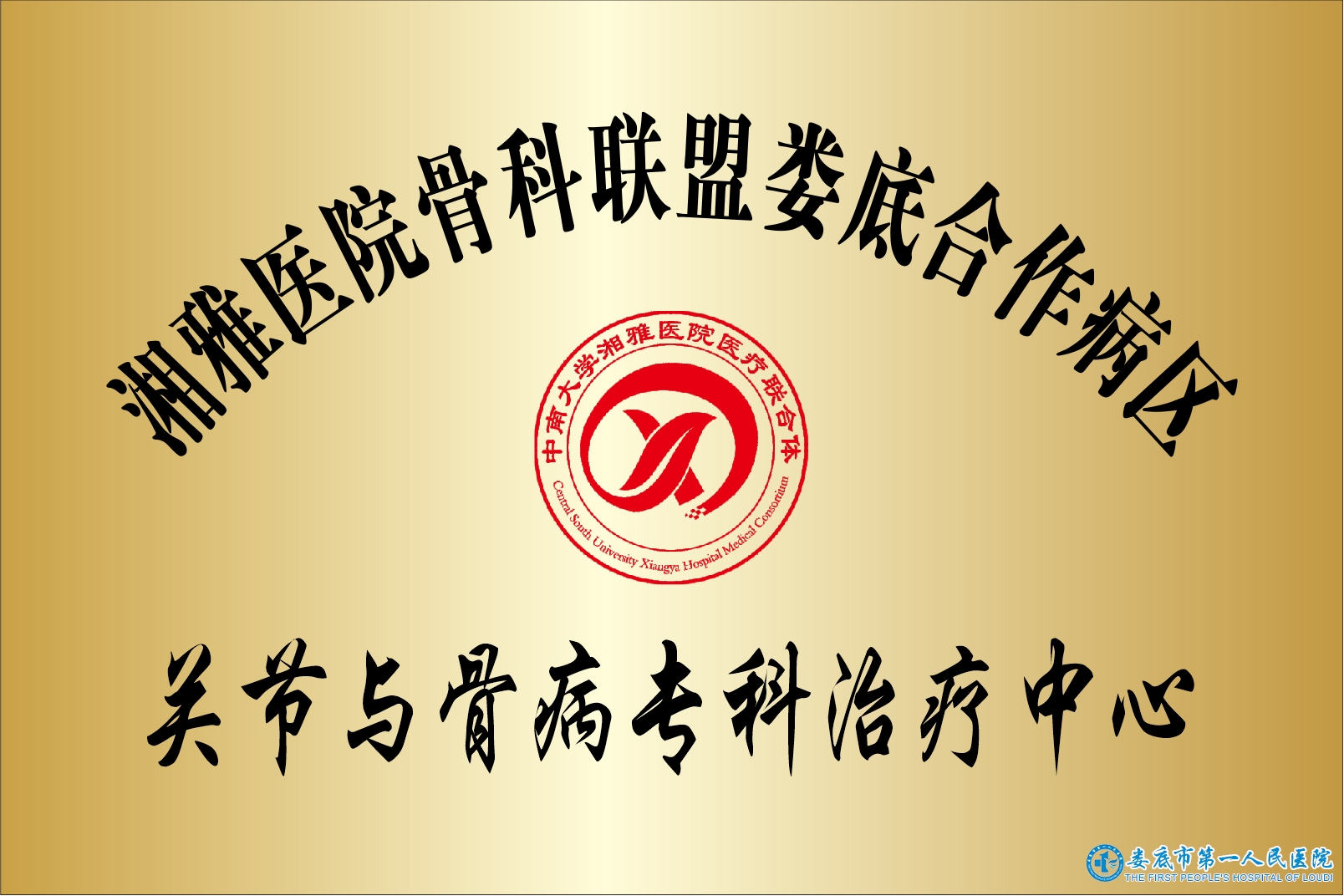 湘雅医院骨科联盟关节与骨病专科治疗中心 湘雅医院骨科联盟关节与骨病专科治疗中心
