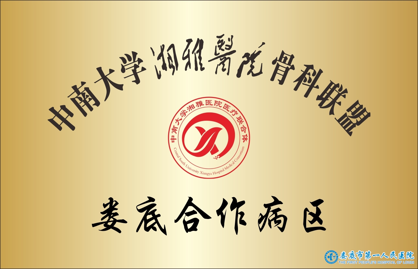 湘雅医院骨科联盟(娄底合作病区) 湘雅医院骨科联盟(娄底合作病区)