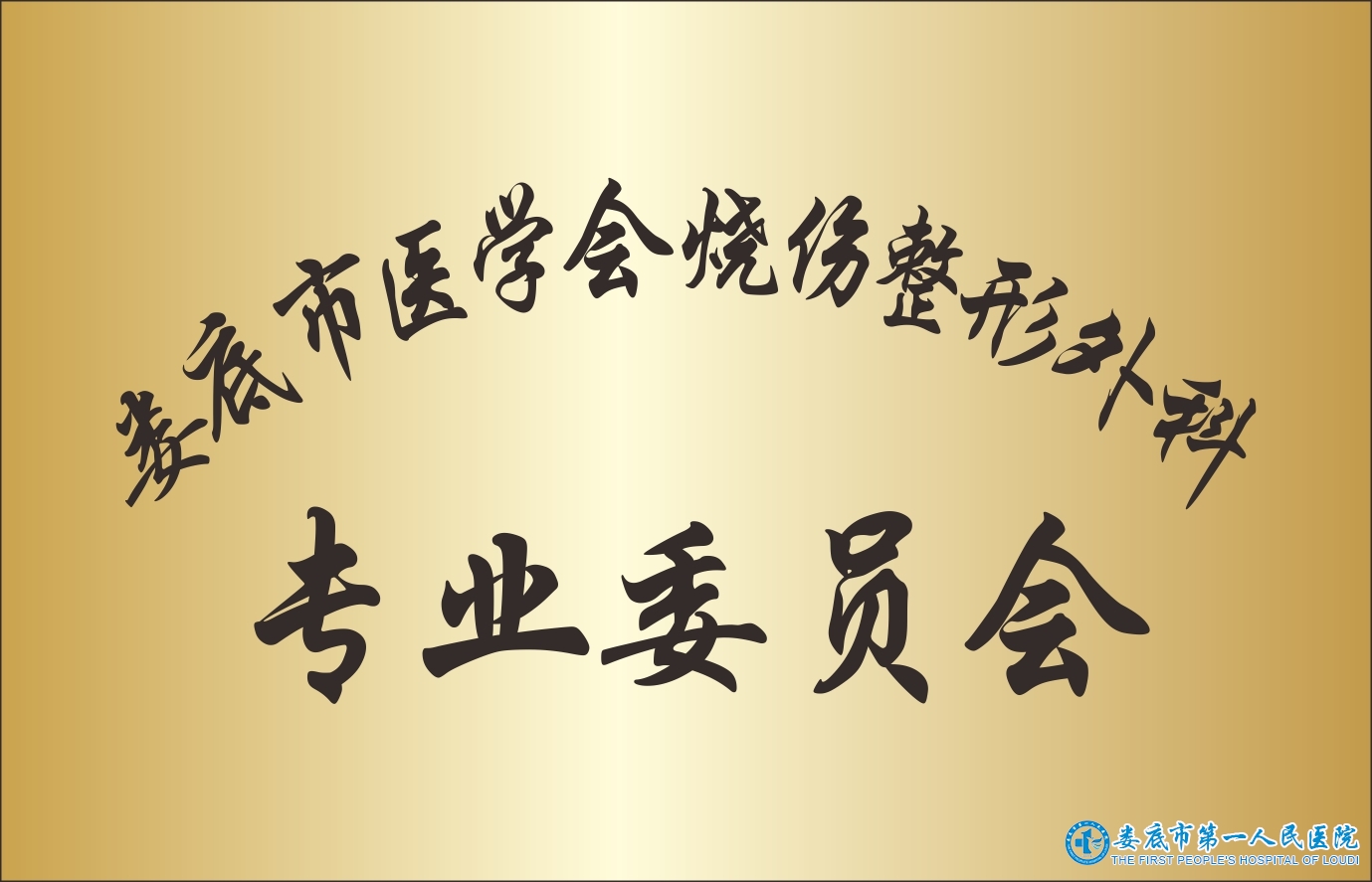 娄底市医学会烧伤整形外科专业委员会 娄底市医学会烧伤整形外科专业委员会