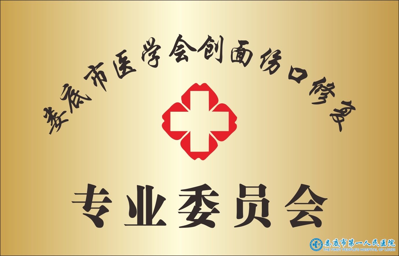 娄底市医学会创面伤口修复专业委员会 娄底市医学会创面伤口修复专业委员会