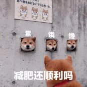 wps8.png