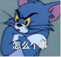wps1.png